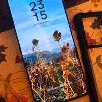 Samsung s21 ultra 256 gb