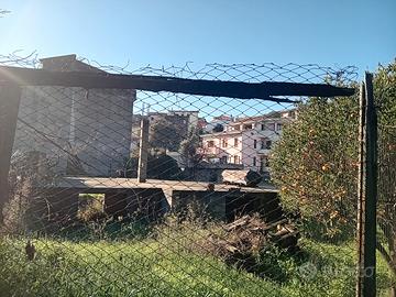 Terreno edificabile Oliena centro