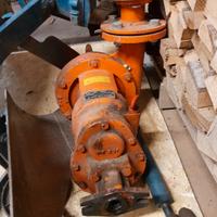 pompa motocoltivatore + tubo 58 mt