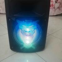 cassa acustica karaoke