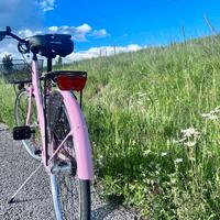Bici con cestino