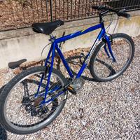 MTB uomo
