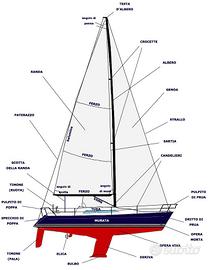 musone decespugliatore