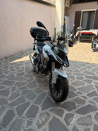 benelli trk 251