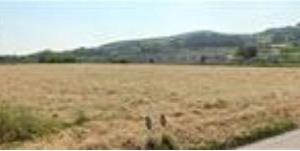 RGE 15/2023 - Tribunale di Urbino