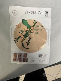 Cornici A4 (21x29,7) legno pino - lotto da 5