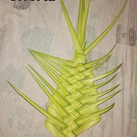 palme a stock 