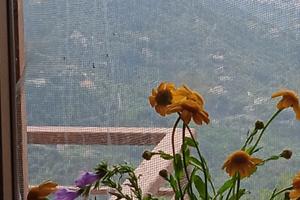 Villetta singola per periodi di vacanza