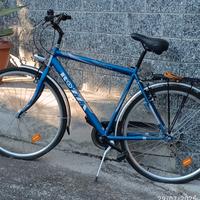 Bicicletta City Bike ROZZA Uomo