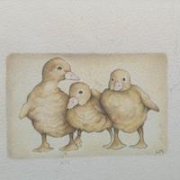 Quadretti disegni fatti a mano