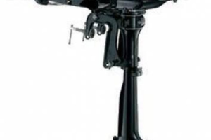 Tender eurovinil con motore suzuki 2.5