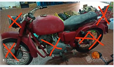 LODOLA 235
