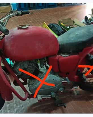 LODOLA 235