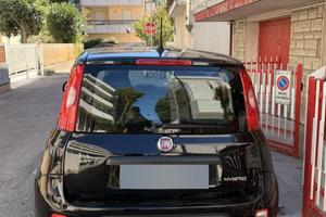 Panda hybrid firfly 2023