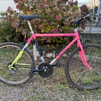 Mountain bike vintage "Country Village"