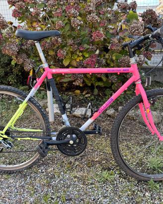 Mountain bike vintage "Country Village"