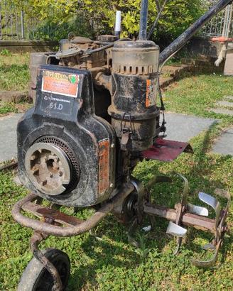 Motozappa diesel Lombardini brumi