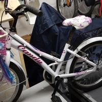 Bicicletta bambina 20"