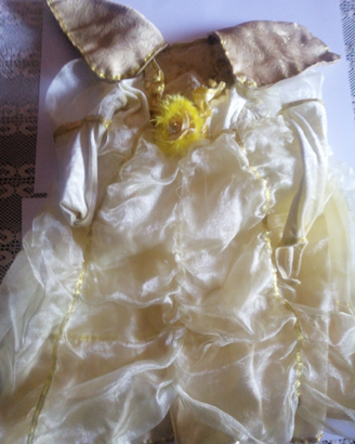 Vestito carnevale principessa bambina