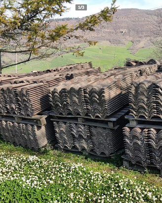 Tegole