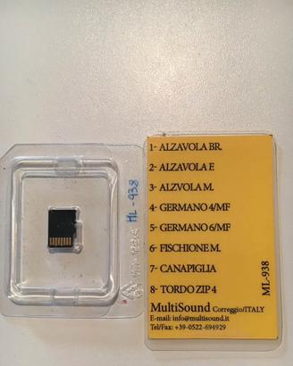 Scheda Multisound