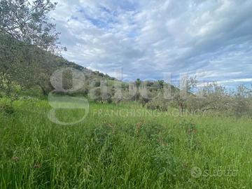 Terreno Agricolo Patti [P1060VRG]