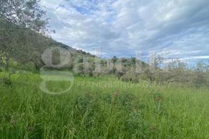 Terreno Agricolo Patti [P1060VRG]