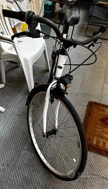 Bici unisex