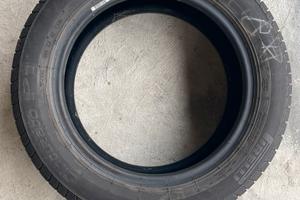 Pneumatici estivi Pirelli Cinturato P1 verde