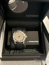 Citizen Eco-Drive Of Sea Land