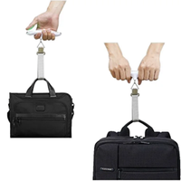 Pesa Valigia - batteria inclusa