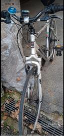 Bici ibrida