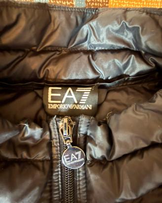 Smanicato EA7