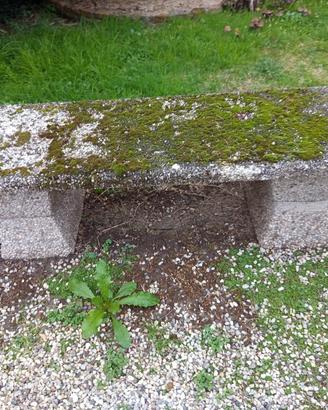 arredamento da giardino 
