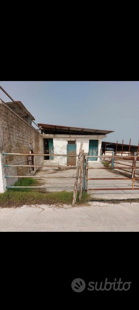 Azienda agricola ex bufalina - Vista 4