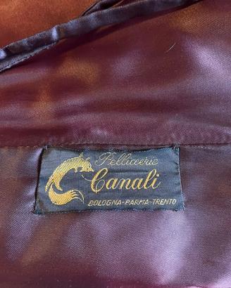 Pelliccia di castorino