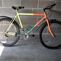 bicicletta mtb uomo mountain bike strada
