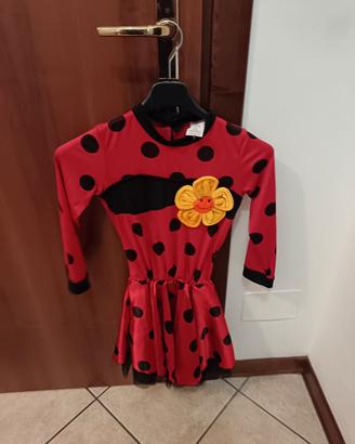 vestito carnevale 
