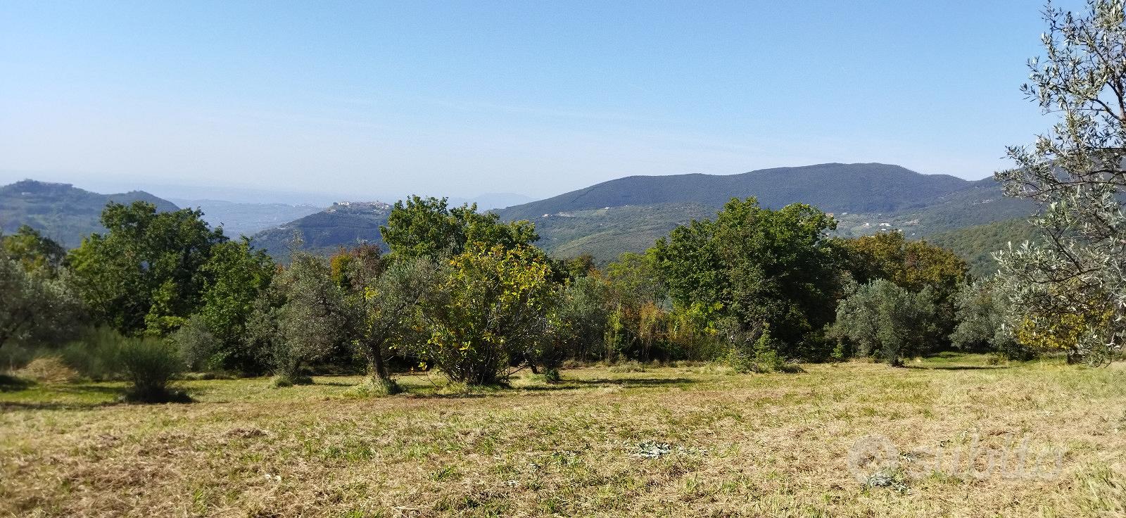 Terreno agricolo in biologico a Mompeo (RI) - Vista 2