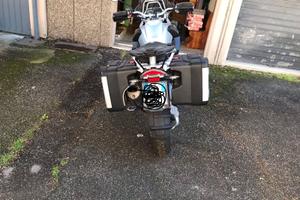 Bmw R 1200 GS Bialbero