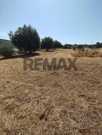 Terreno Edificabile - Motta Sant'Anastasia