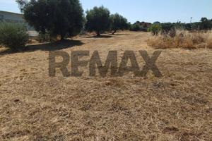 Terreno Edificabile - Motta Sant'Anastasia