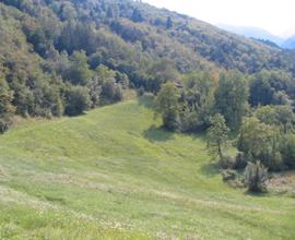 Terreno con rustico a Brentonico