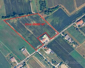Vendita terreno agricolo