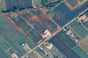 Vendita terreno agricolo
