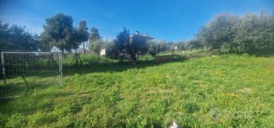Terreno a Città Sant'Angelo (PE)