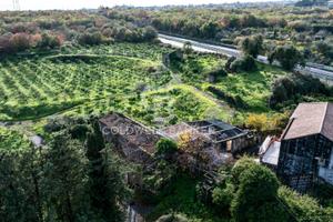 Terreno agricolo - Santa Venerina