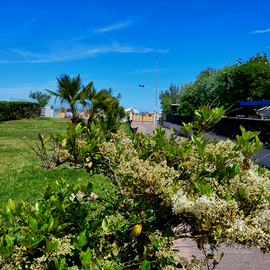 Direttamente in spiaggia
