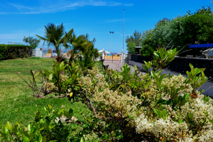 Direttamente in spiaggia