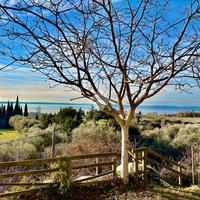 VILLA SINGOLA A BARDOLINO